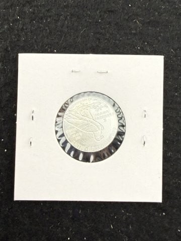 1/10th Fine Silver Coin - 2
