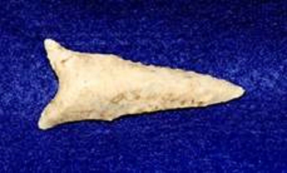 DALTON CLASSIC POINT: 7200-8000BC G-9 1&1/8'W 2&5/8'L FROM ILLINOIS MADE OF WHITE CHERT