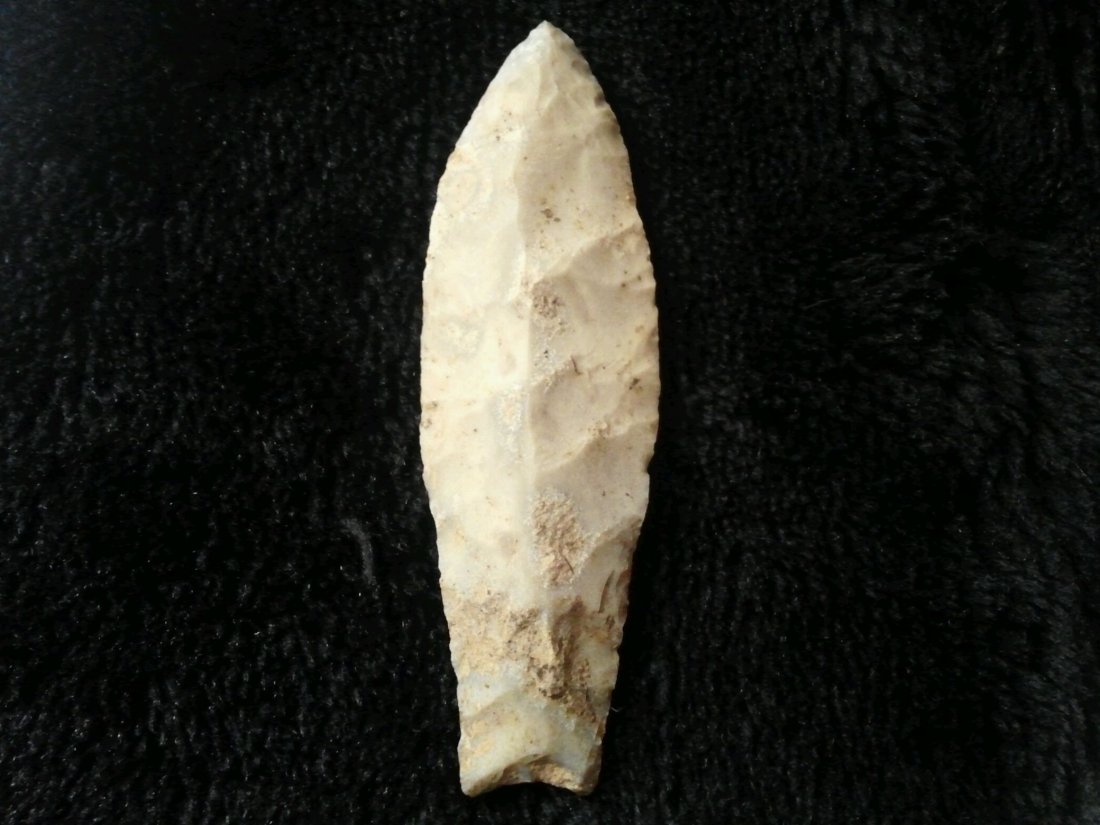 SEDALIA: FROM THE SAND MOUNTAIN COMMUNITY SAC RIVER DADE CO. MO TIP RECHIPPED