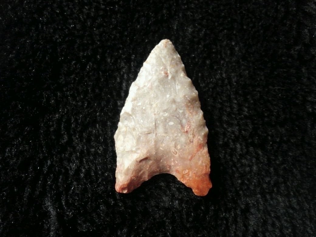 DALTON: FROM THE SAND MOUNTAIN COMMUNITY SAC RIVER DADE CO. MO