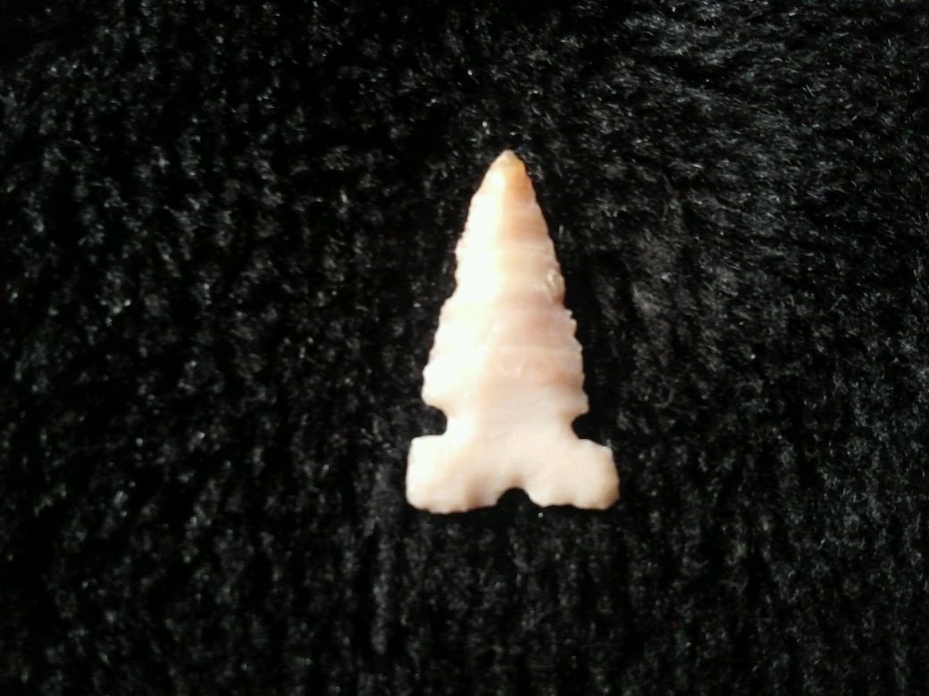 CAHOKIA: FROM THE SAND MOUNTAIN COMMUNITY SAC RIVER DADE CO. MO