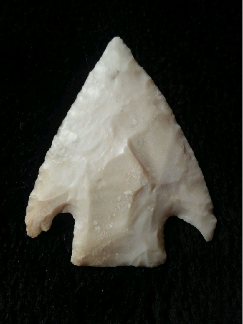 SMITH: FROM TURNBACK CREEK AND SAC RIVER IN DADE CO. MO