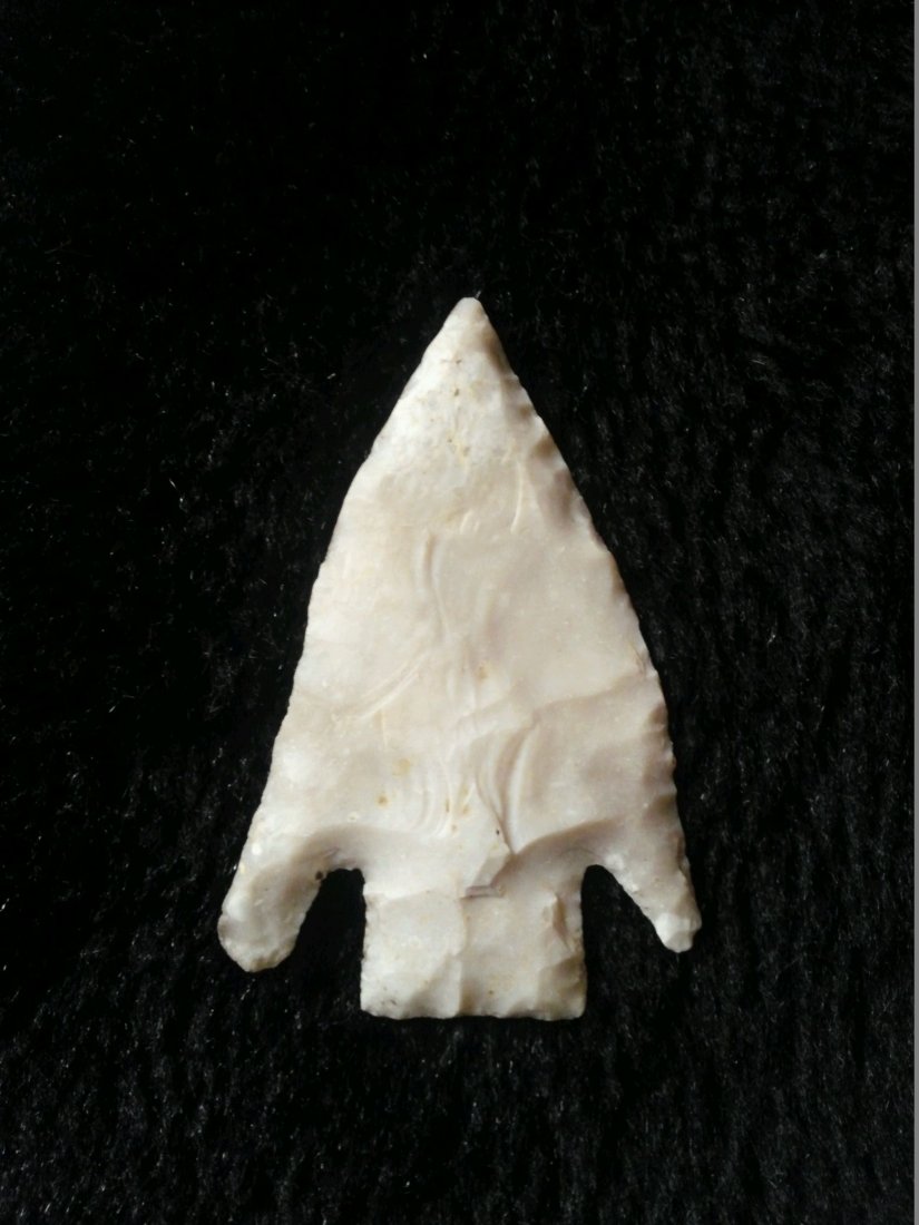 SMITH: FROM TURNBACK CREEK AND SAC RIVER IN DADE CO. MO TIP IS RECHIPPED