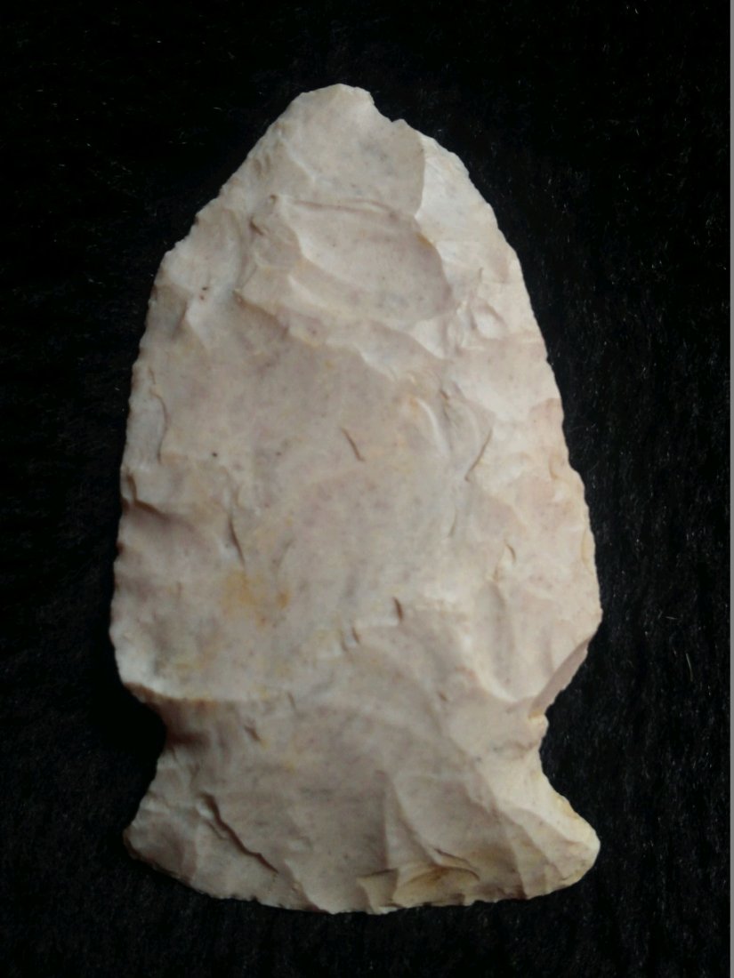 GIBSON: FROM DADE CO., MO