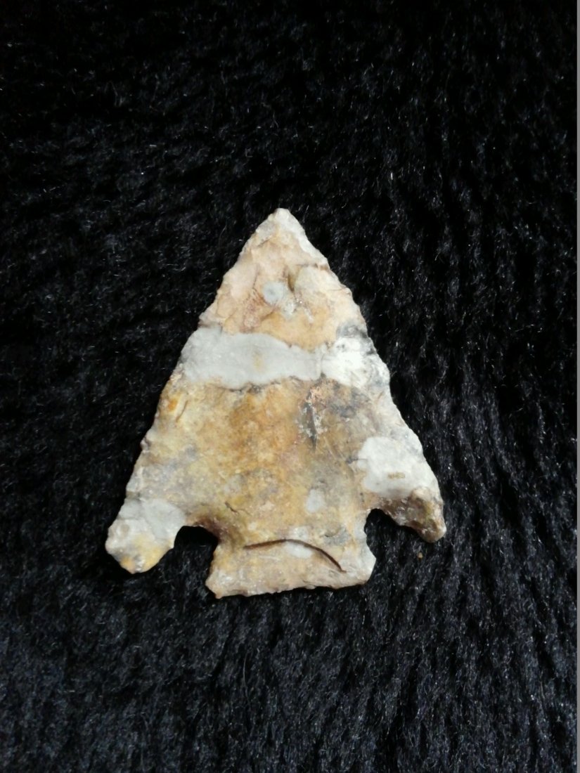 SMITH: FROM TURNBACK CREEK DADE CO. MO