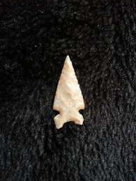 CAHOKIA: FROM A FARM ON BIRCH BRANCH DADE CO. MO