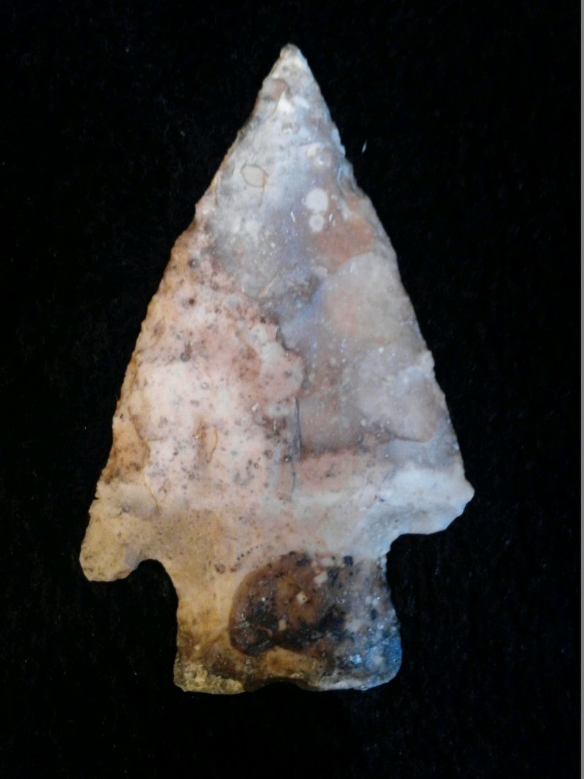 SMITH: FROM A ROCK SHELTER ON A SMALL SPRING BRANCH DADE CO. MO TWO OF THEM WORKED FROM 1973 -1976 SIFTING IN SHELTER WITH PERMISSION FROM THE OWNER