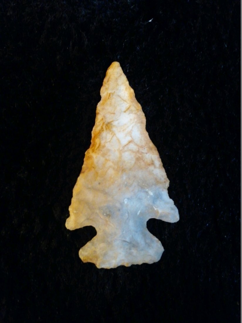 KIRK CORNER NOTCHED: FROM A ROCK SHELTER ON A SMALL SPRING BRANCH DADE CO. MO TWO OF THEM WORKED FROM 1973 -1976 SIFTING IN SHELTER WITH PERMISSION FROM THE OWNER