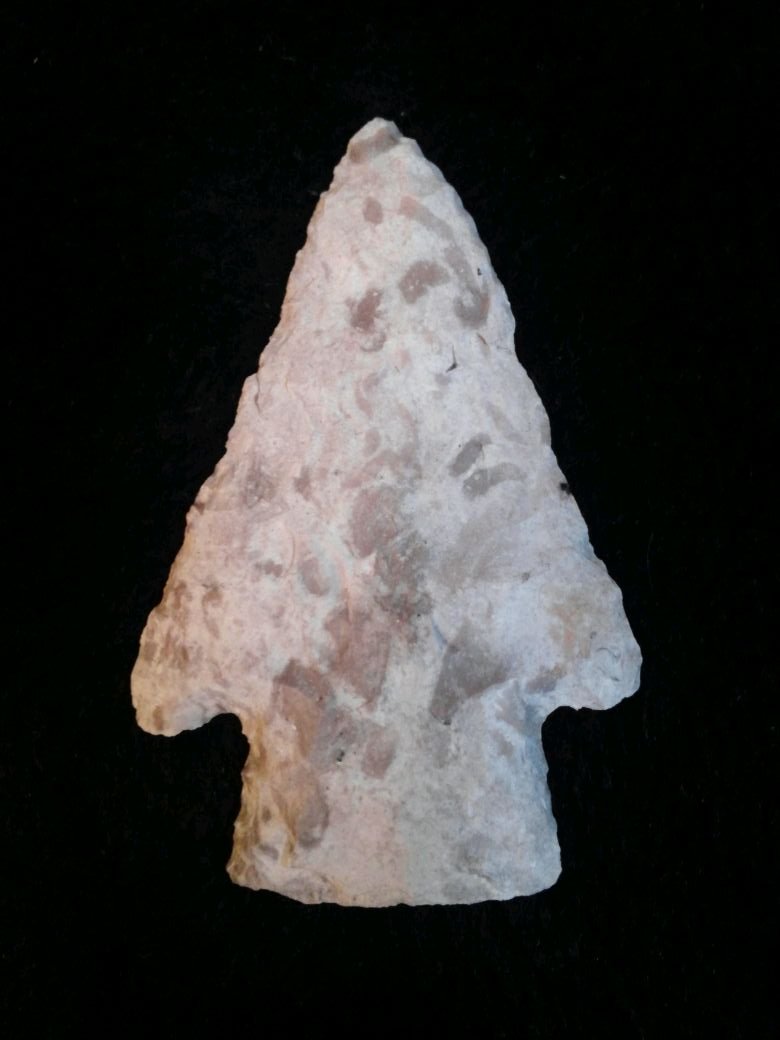 SMITH: FROM A ROCK SHELTER ON A SMALL SPRING BRANCH DADE CO. MO TWO OF THEM WORKED FROM 1973 -1976 SIFTING IN SHELTER WITH PERMISSION FROM THE OWNER