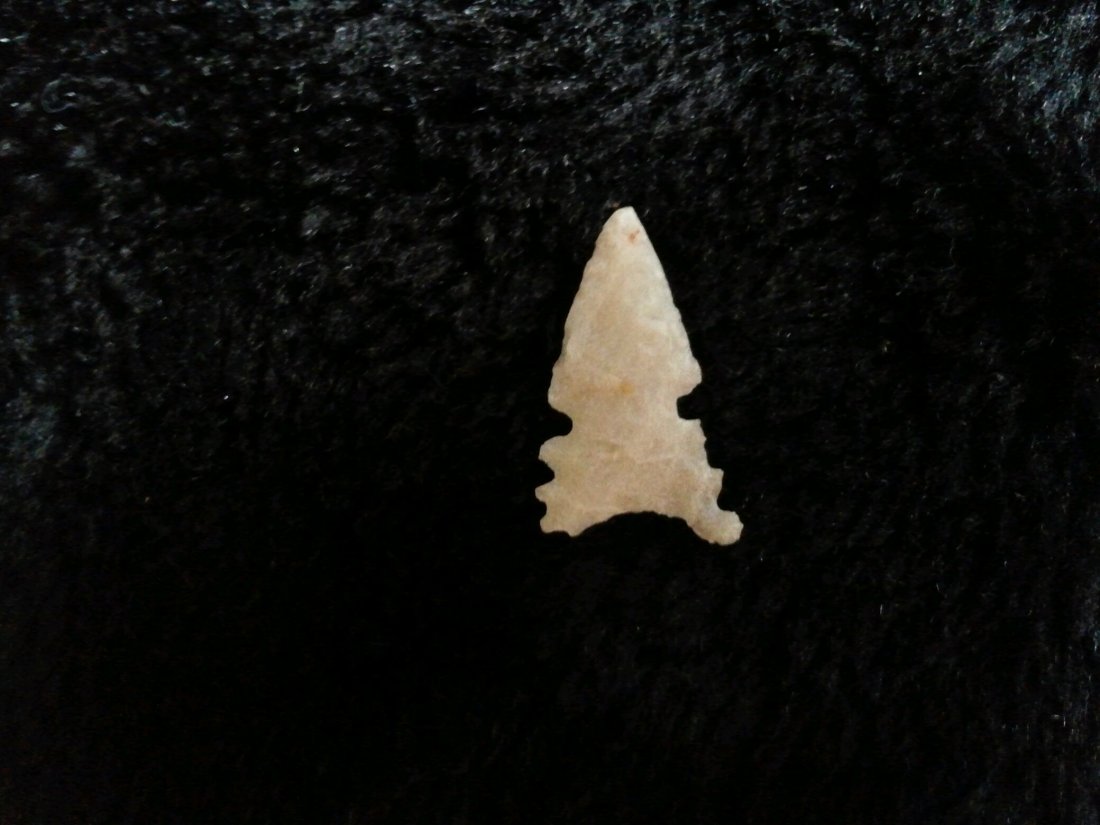 CAHOKIA: FROM TURNBACK CREEK & LIMESTONE CREEK & HORSE CREEK AREA DADE CO. MO