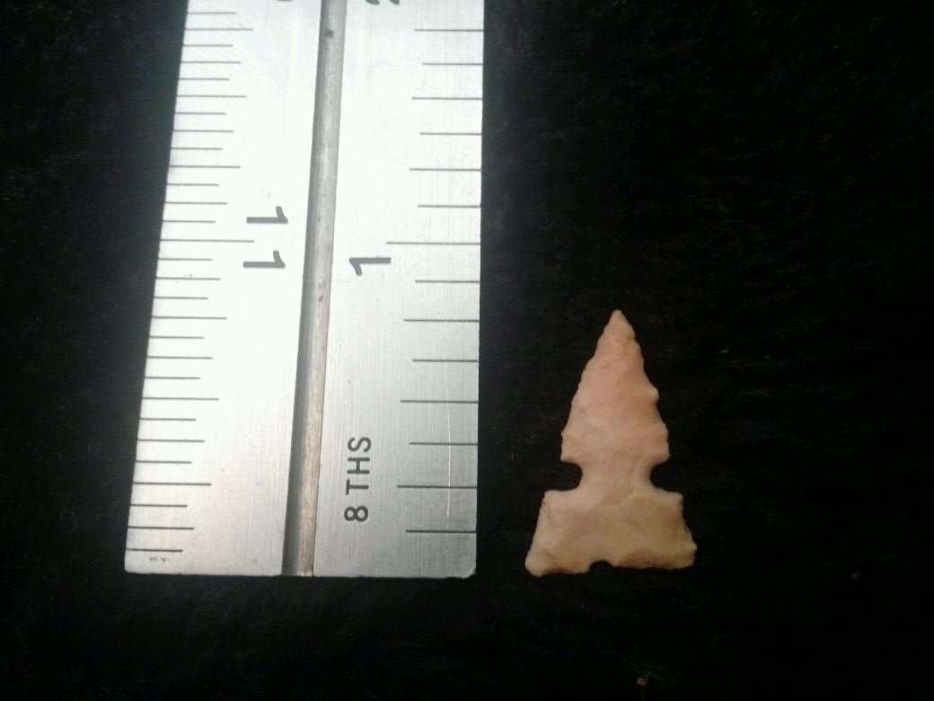 CAHOKIA: FROM TURNBACK CREEK OR LIMESTONE CREEK AREA DADE CO. MO