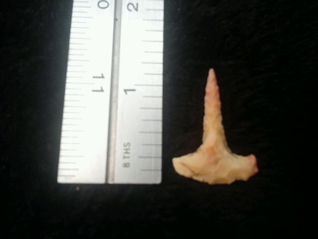 DRILL: FROM TURNBACK CREEK OR LIMESTONE CREEK AREA DADE CO. MO