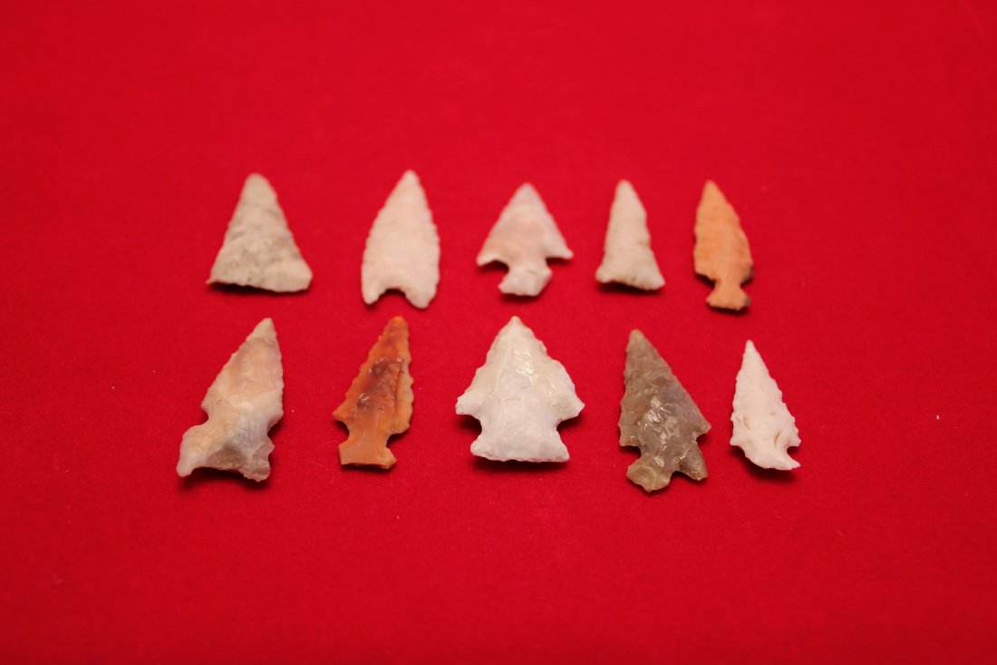 10 MISSOURI  BIRD POINTS (1 of 1)