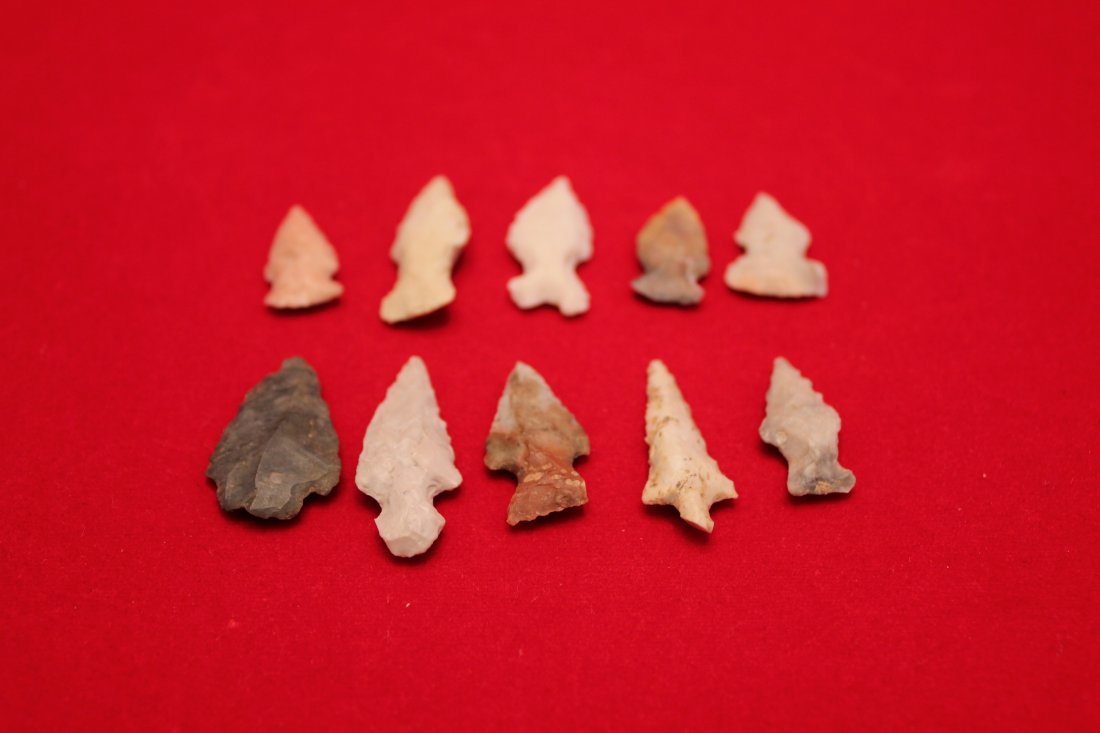 10 MISSOURI  BIRD POINTS (1 of 1)