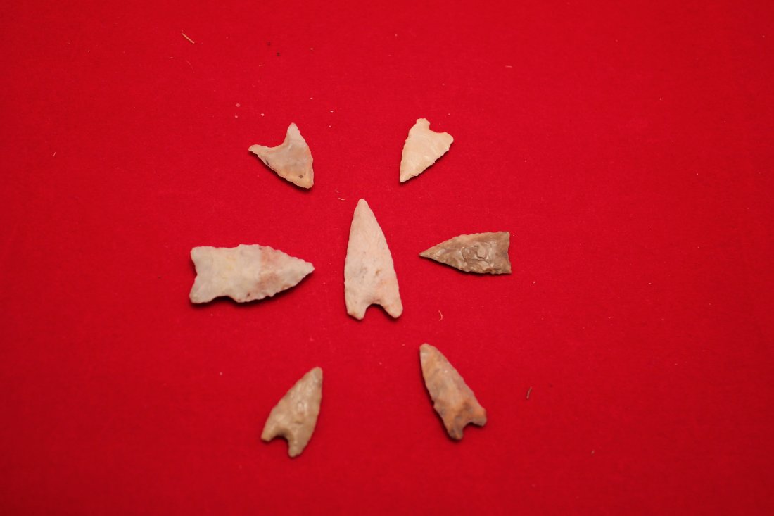 7 MISSOURI  BIRD POINTS (1 of 1)