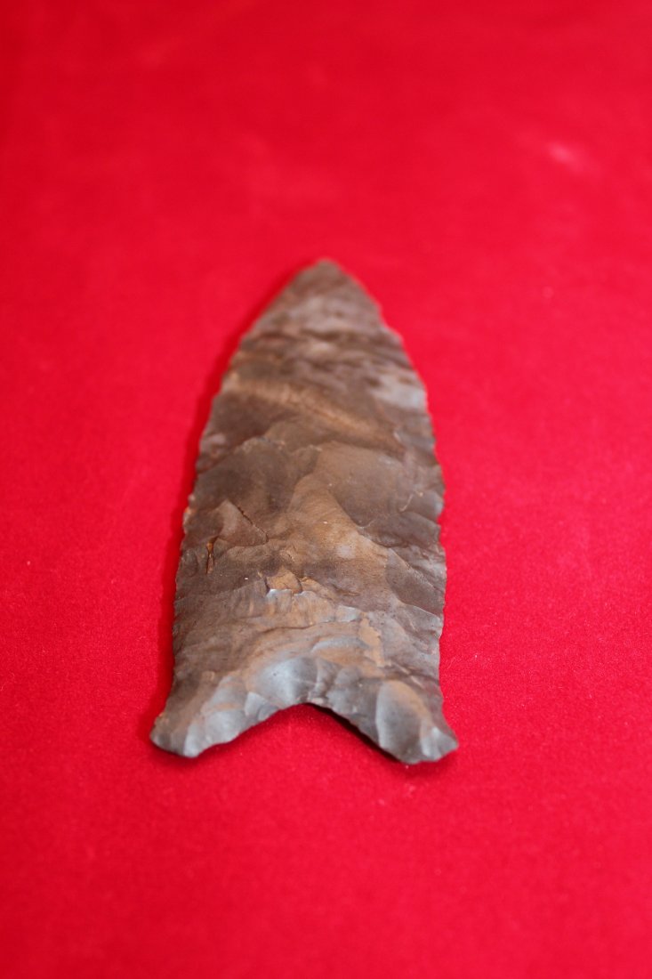 BEAVER LAKE (1 of 1)