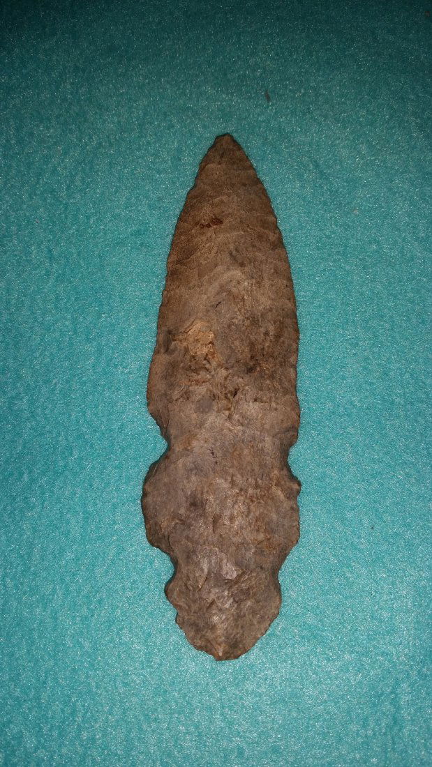 DOUBLE NOTCHED TURKEY TAIL (1 of 3)