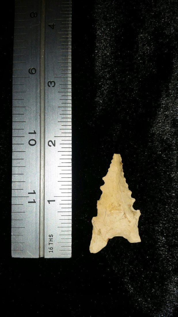 ARKANSAS DALTON (1 of 1)