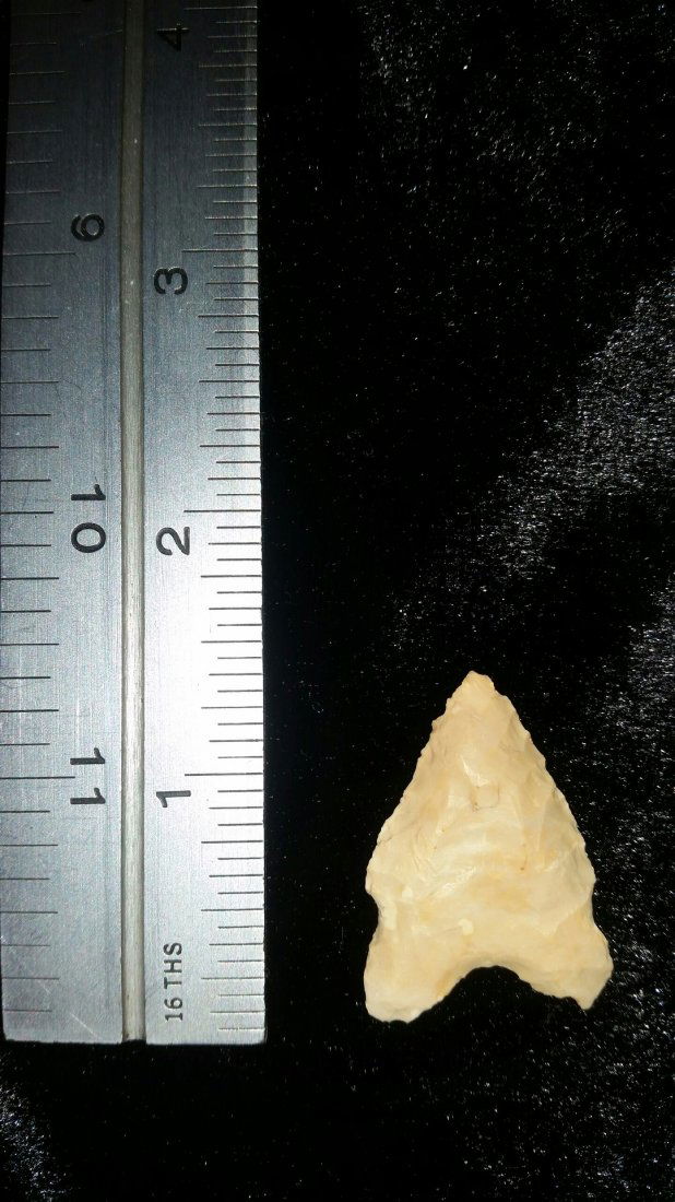 ARKANSAS DALTON (1 of 1)