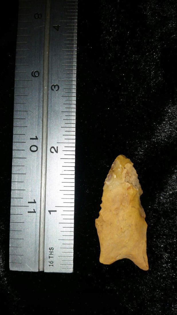 ARKANSAS DALTON (1 of 1)