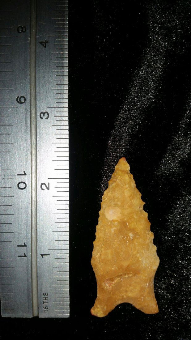 ARKANSAS DALTON (1 of 1)