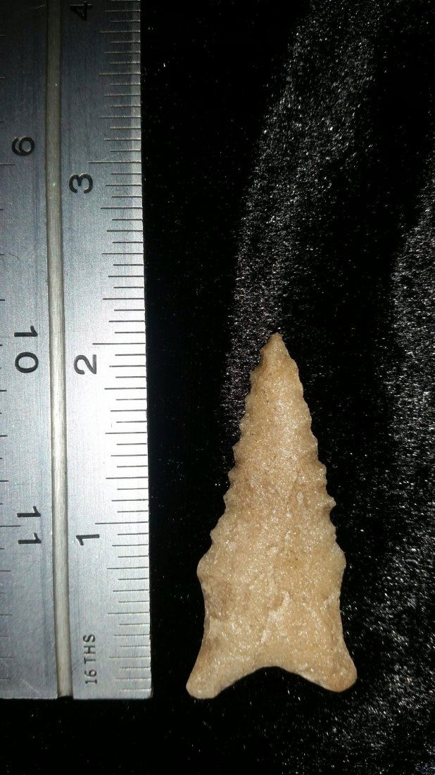 ARKANSAS DALTON (1 of 1)