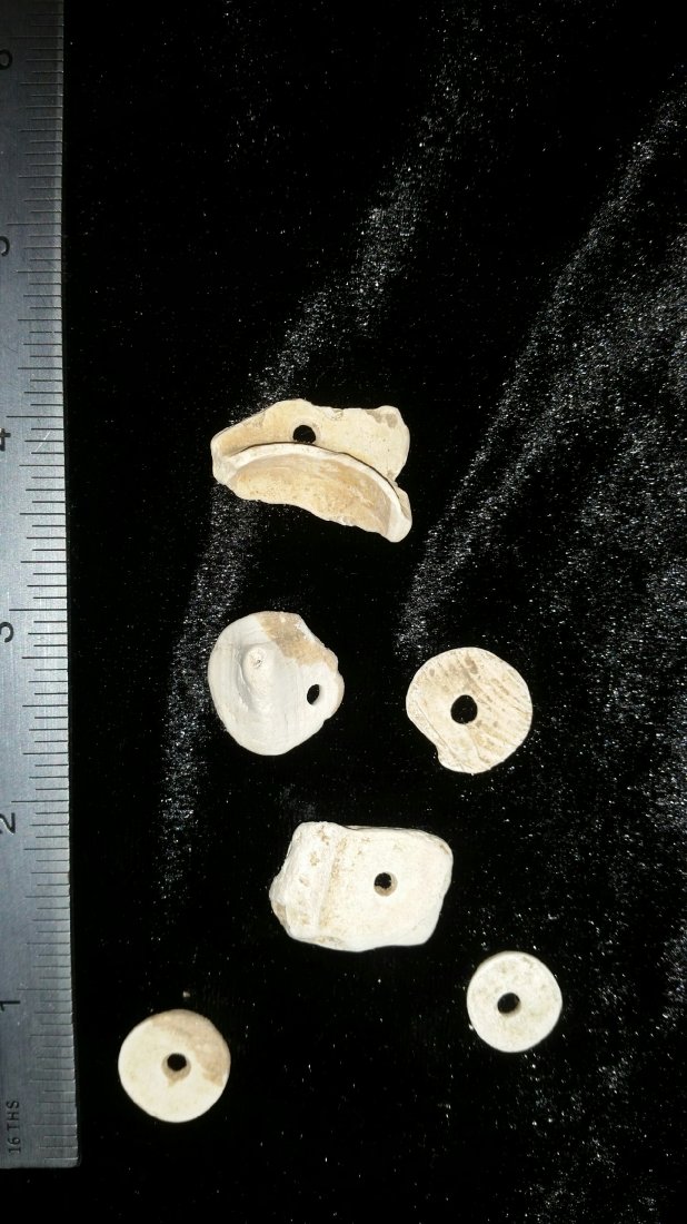 6 SHELL BEADS: FROM INDEPENDENCE CO. AR