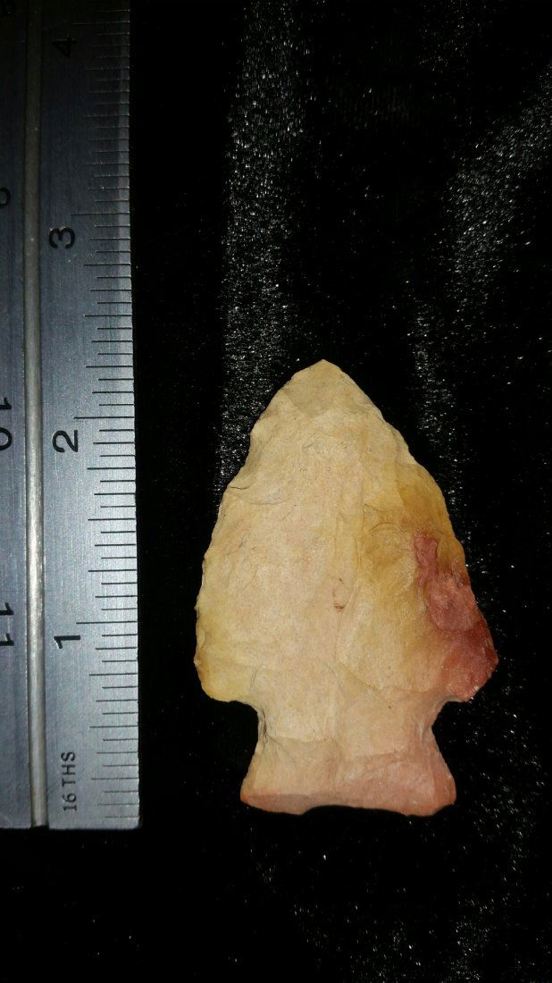 ARKANSAS ARROWHEAD (1 of 1)