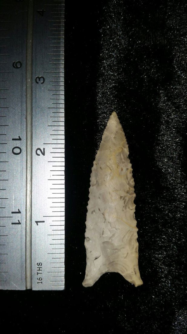 ARKANSAS DALTON (1 of 1)