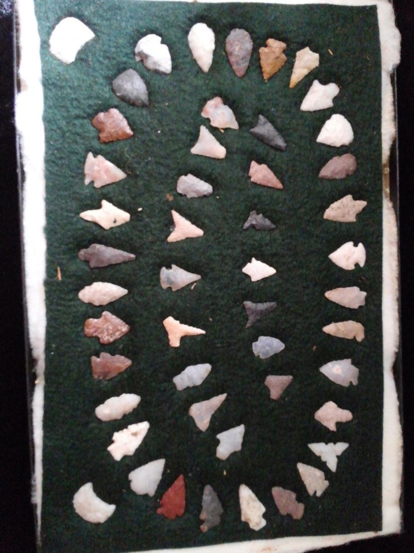 49 BIRD POINTS (1 of 1)