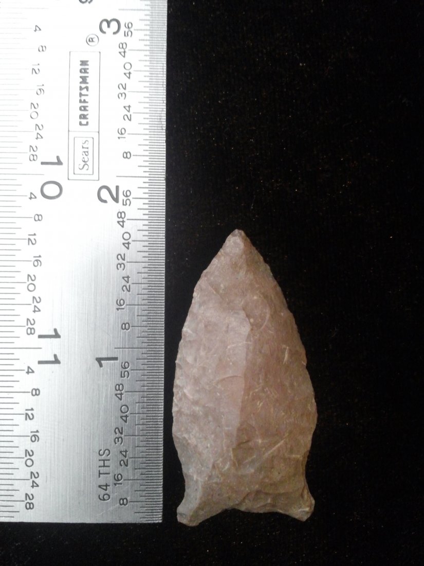 DALTON: 1&1/2 INCHES LONG FROM NE ARKANSAS
