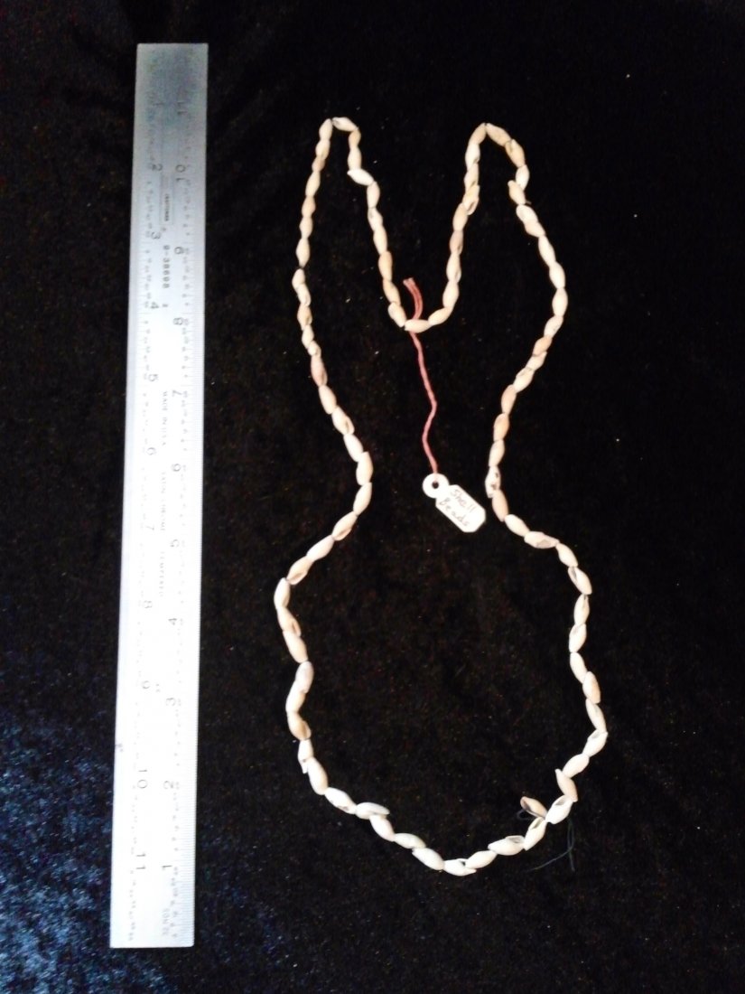 SHELL BEADS (1 of 1)