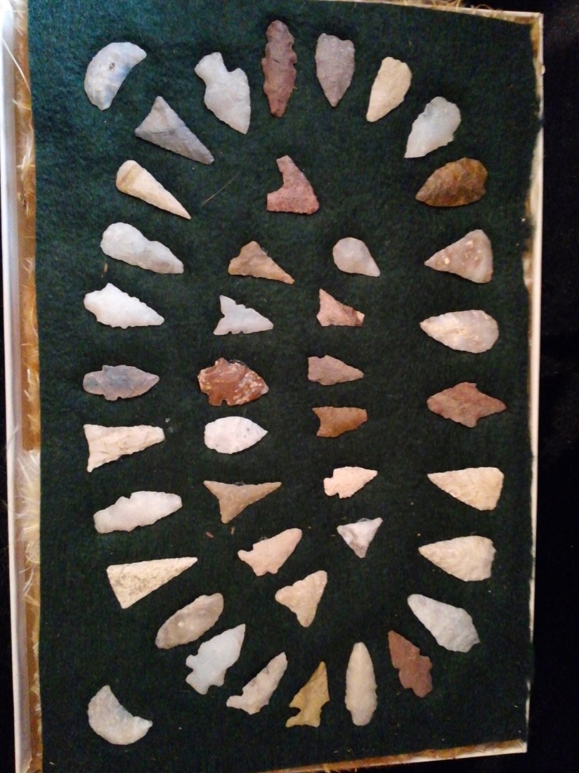 FRAME OF BIRD POINTS (1 of 1)