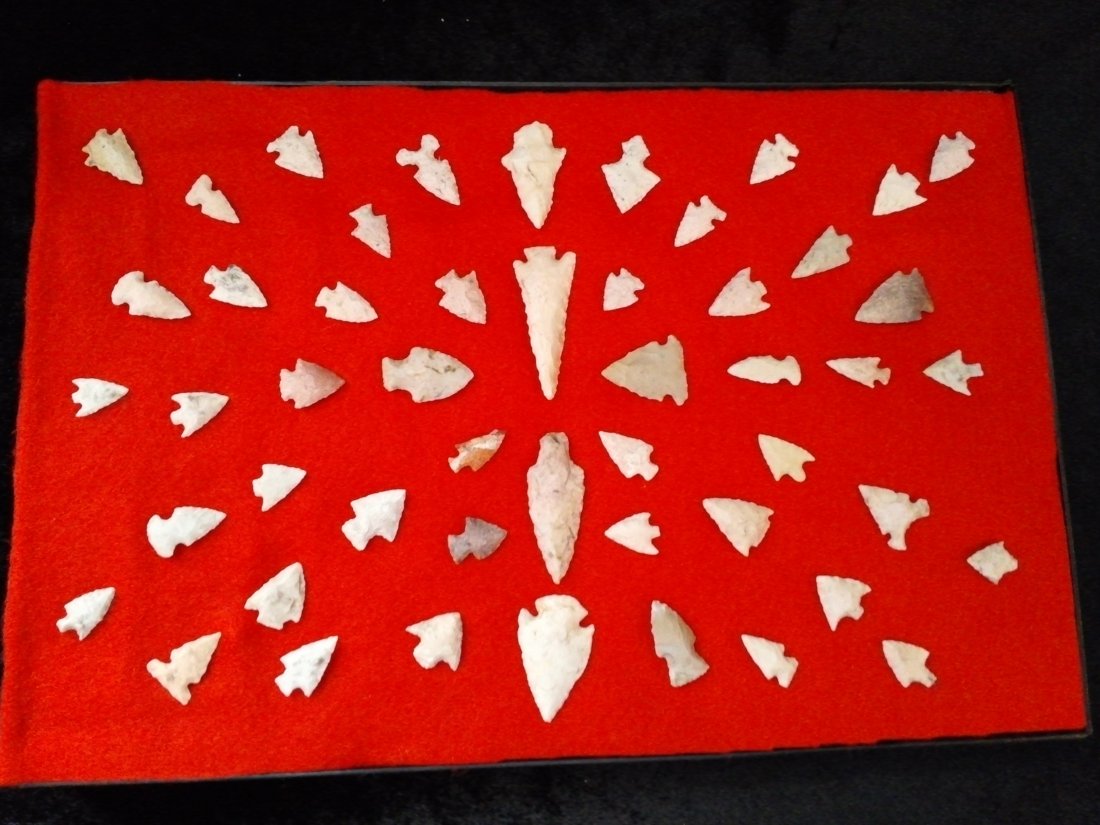 50 BIRD POINT  MISSOURI ARROWHEADS INDIAN ARTIFACTS (1 of 1)
