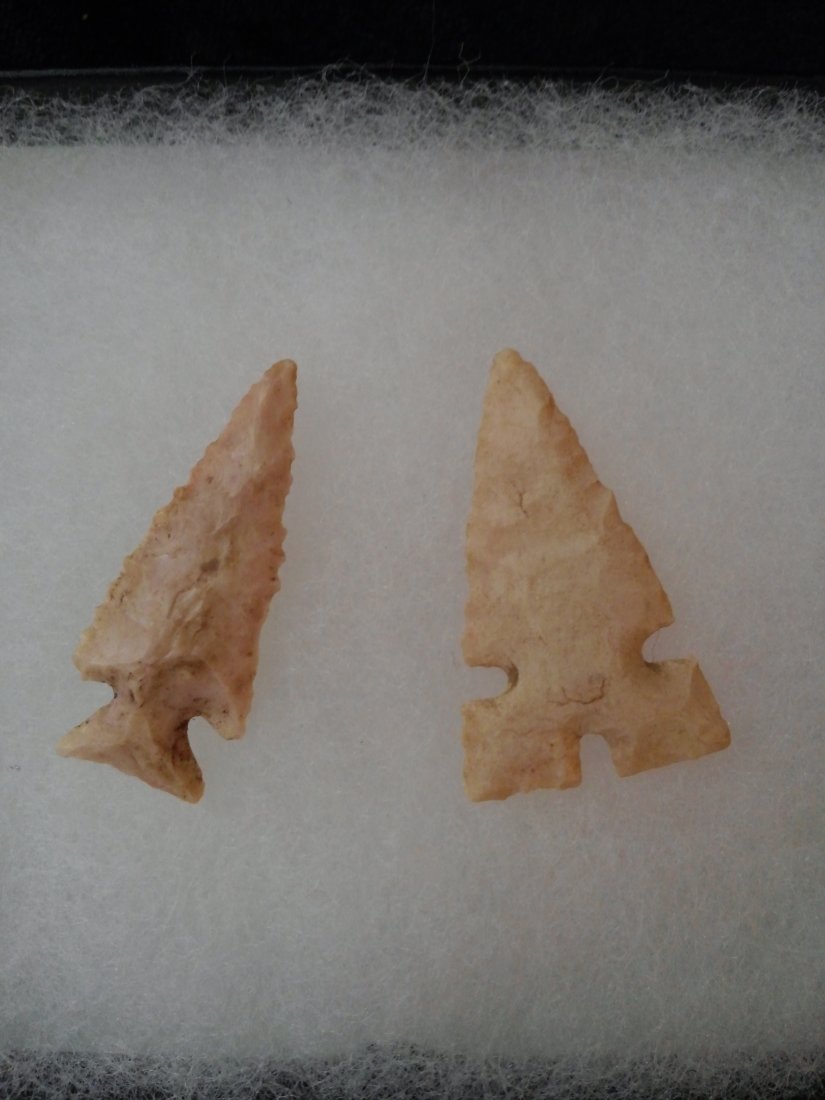 2 MISSOURI BIRD POINTS  ARROWHEAD INDIAN ARTIFACTS (1 of 1)
