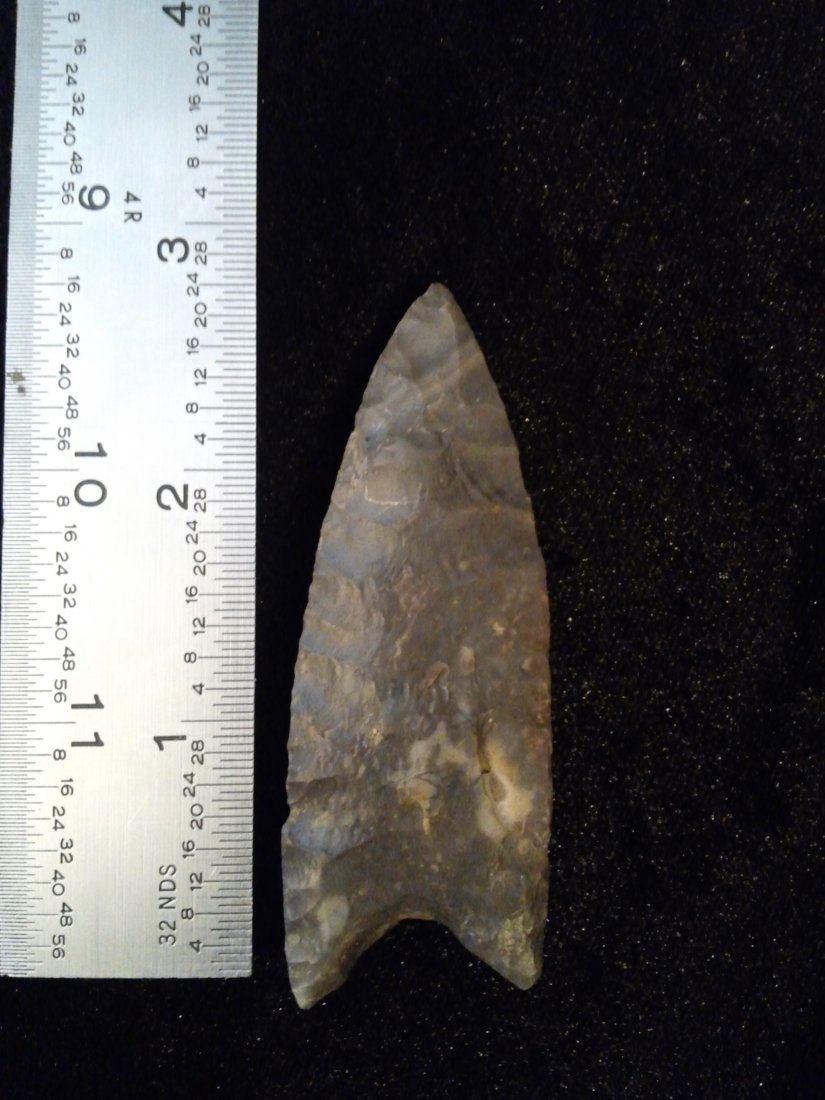 DALTON: 3 INCHES LONG FROM NE ARKANSAS