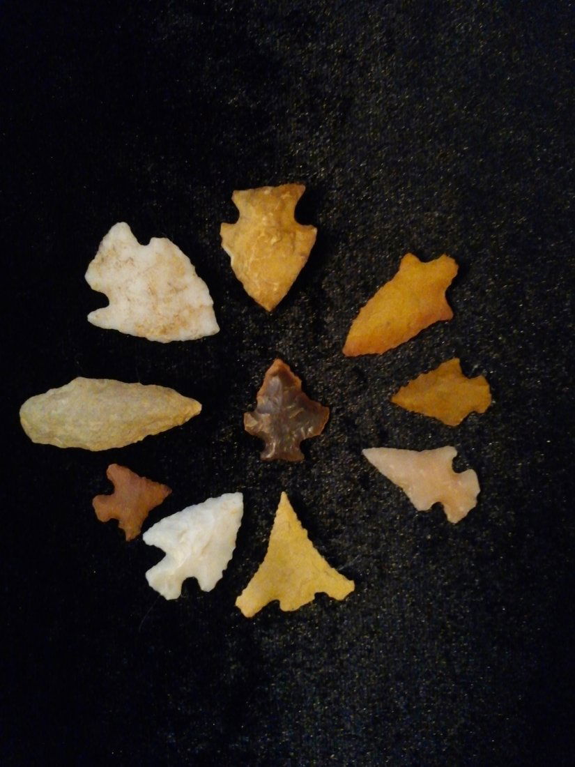 10 TEXAS BIRD POINT  ARROWHEADS (1 of 1)