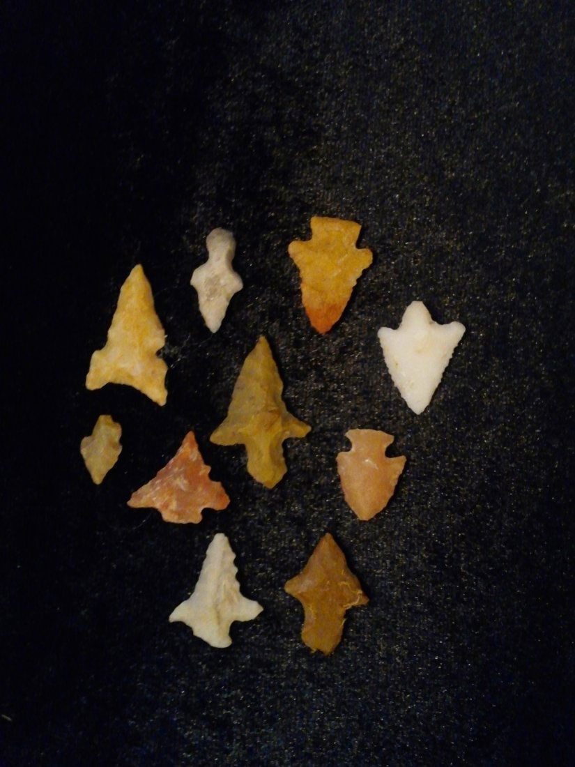 10 TEXAS BIRD POINT  ARROWHEADS (1 of 1)
