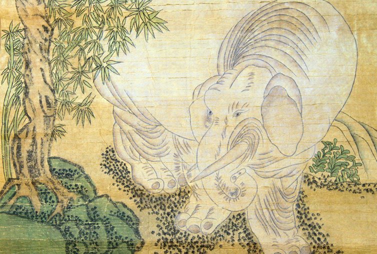 金梦石，大象 - 3