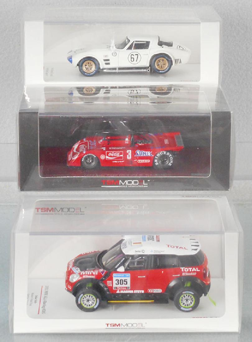 3 TSM MODEL RACERS (1 of 1)