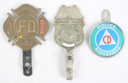 3 LICENSE PLATE TOPPERS