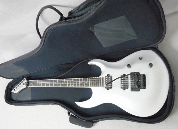 WASHBURN RENEGADE GUITAR (1 of 2)
