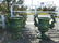 Amazing Pair of Cast Iron Urns with Cherubs on the Side - 2