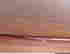 item-95946462=5