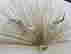 item-121295930=2