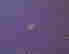 item-128099497=7