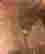 item-128159882=8