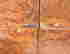 item-131625813=8