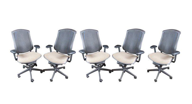 Herman Miller Ergonomic Modern Office Chairs (1 of 7)