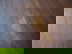 item-199241584=7